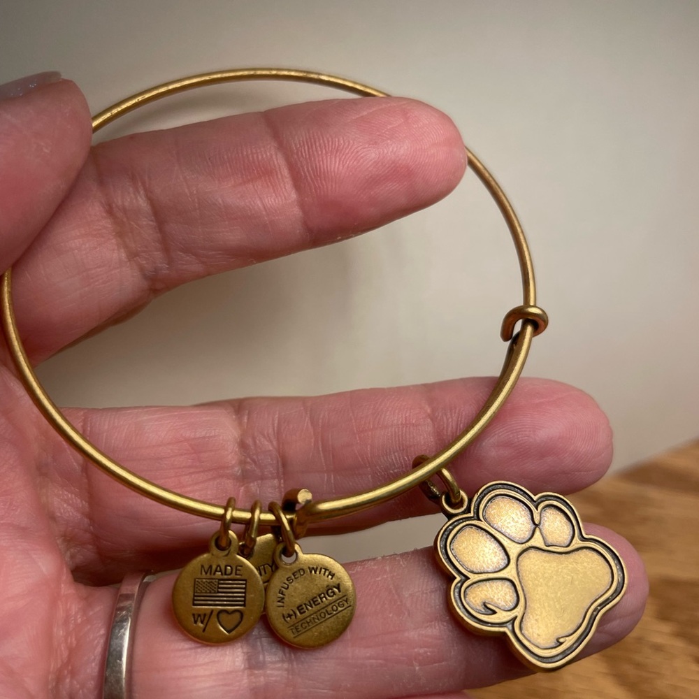 Alex and Ani Gold Charm Bracelet